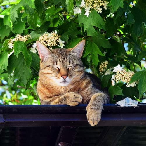 Photo #12244914