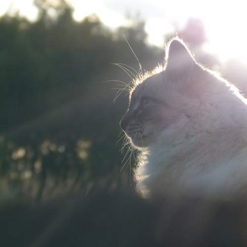 Photo #12245025