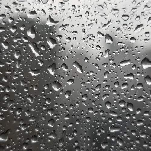 Photo #12245122