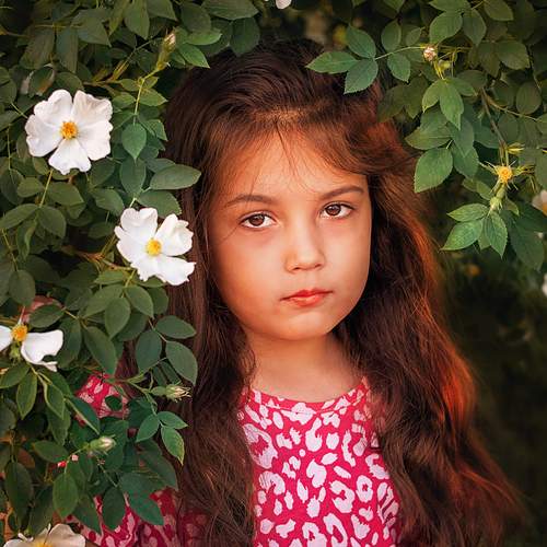 Photo #12245156
