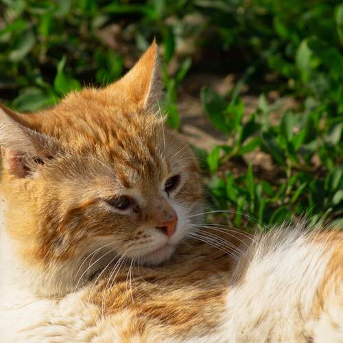 Photo #12245255