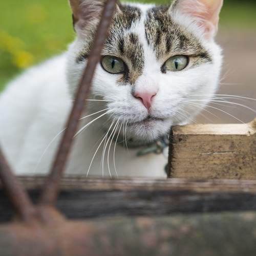 Photo #12245299