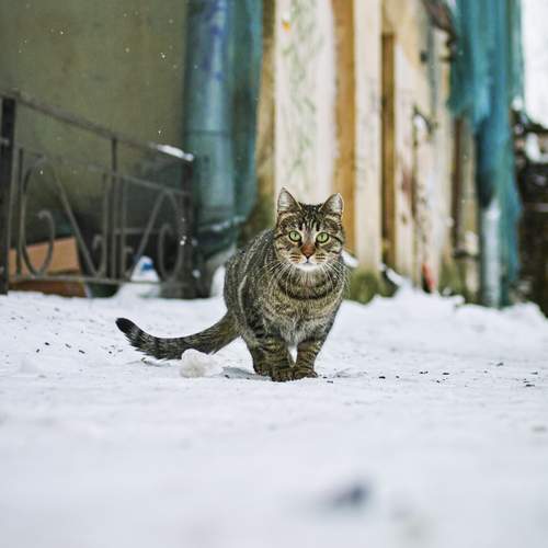 Photo #12245310
