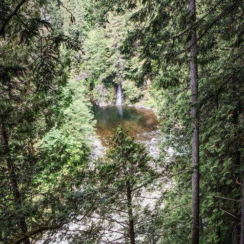 Photo #12245365