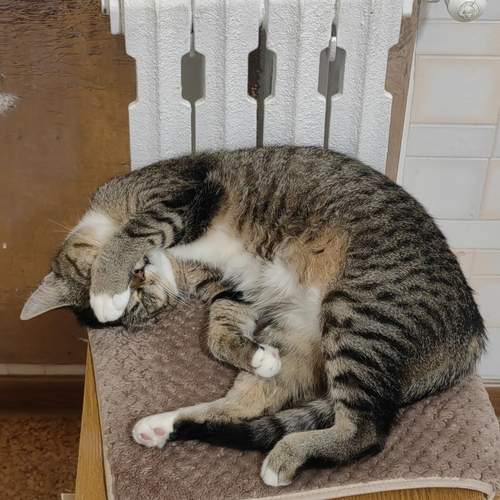 Photo #12245426