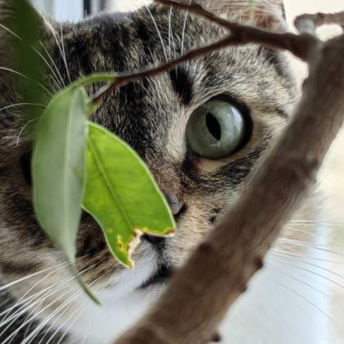 Photo #12245427