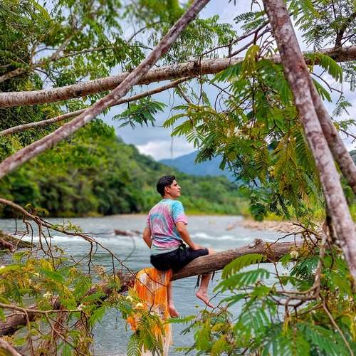 Photo #12245430