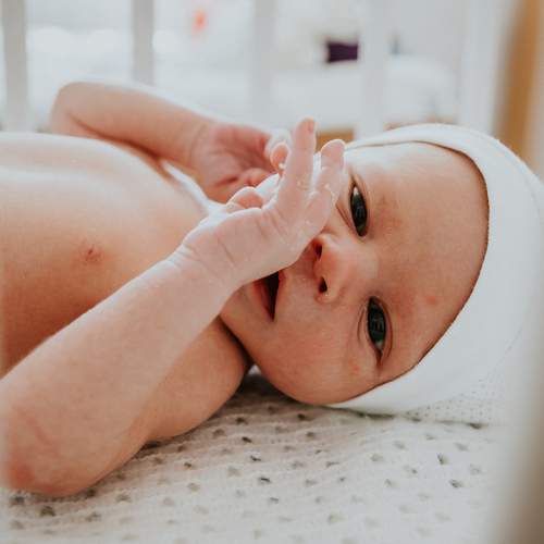 Photo #12245470