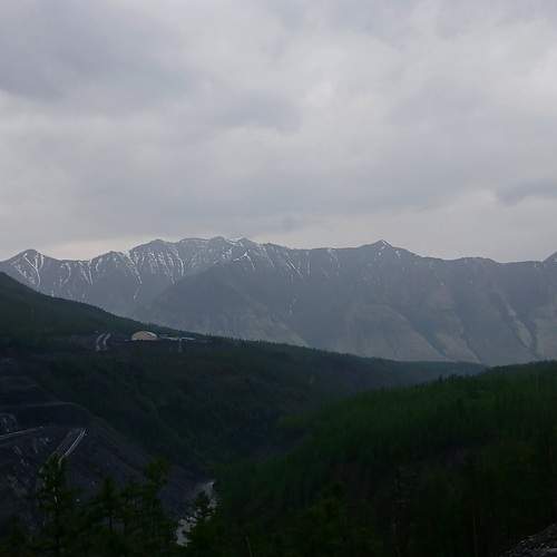 Photo #12245511