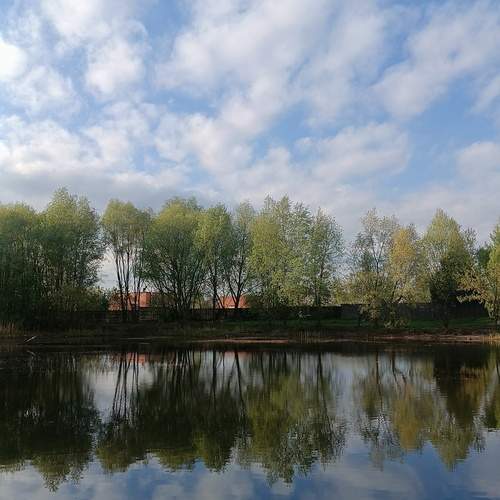 Photo #12245570
