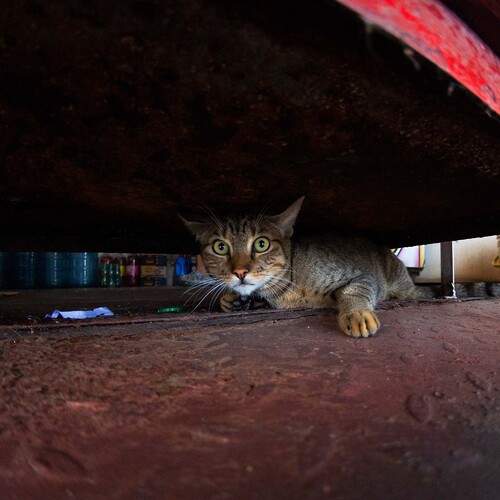 Photo #12245606