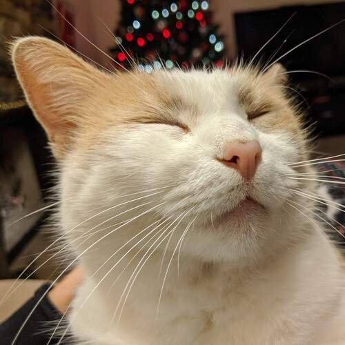 Photo #12245636