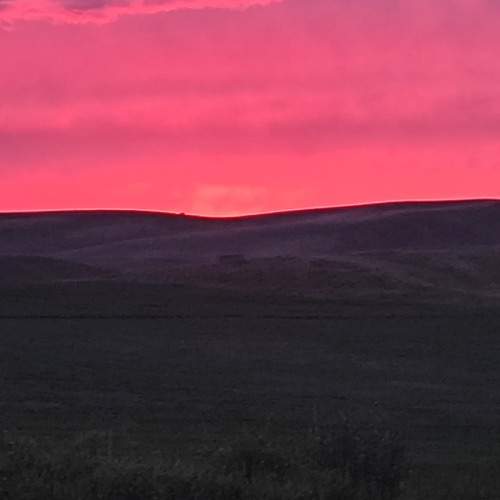 Photo #12245755