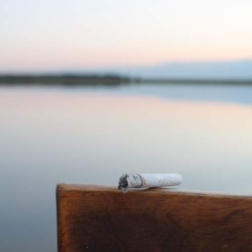 Photo #12245856