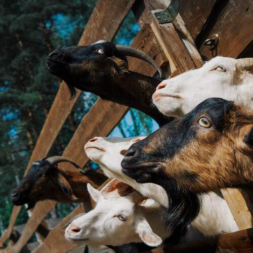 Photo #12245883