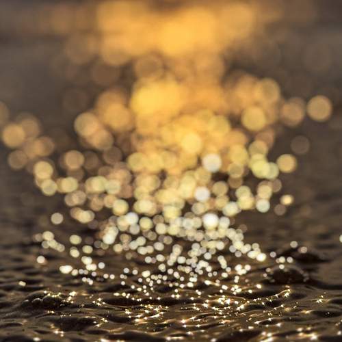 Photo #12245886