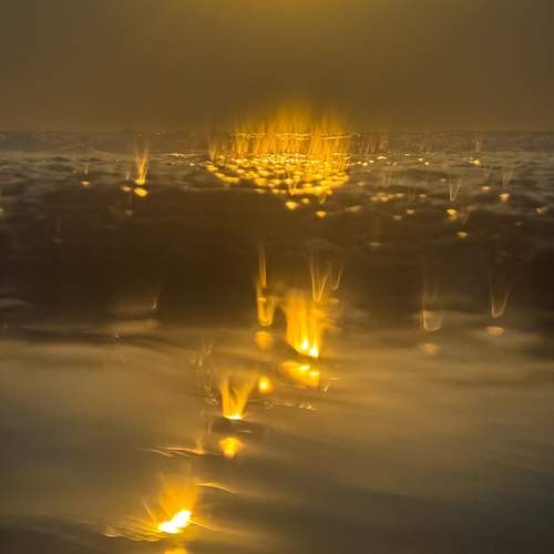 Photo #12245892