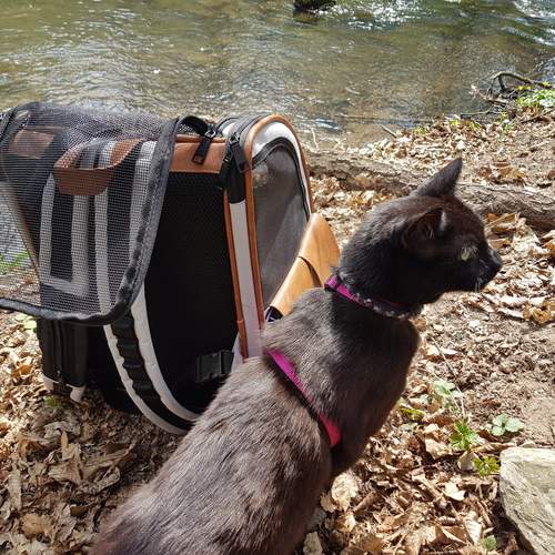 Photo #12245932