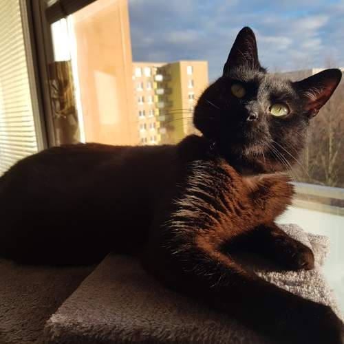 Photo #12245948