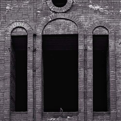 Photo #12245976