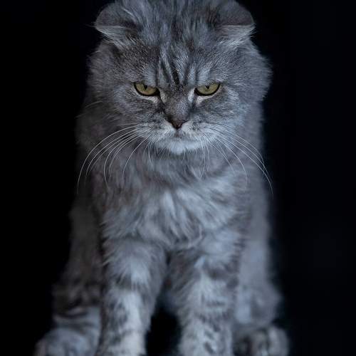 Photo #12246096