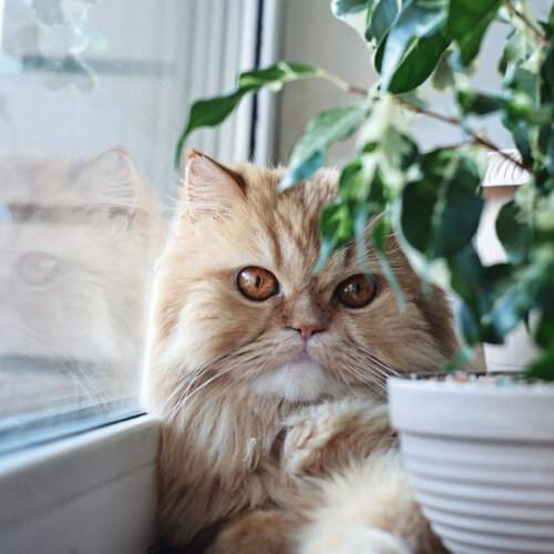 Photo #12246171