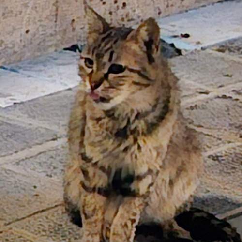 Photo #12246297