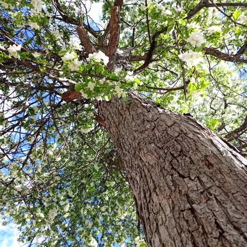 Photo #12246480