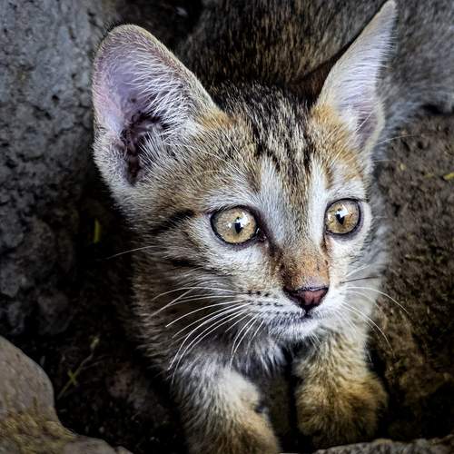 Photo #12246558