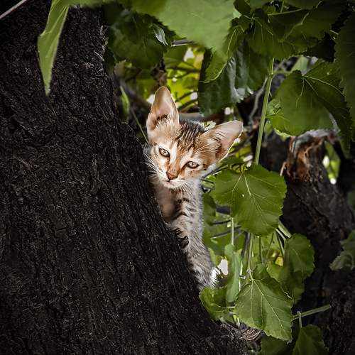 Photo #12246559