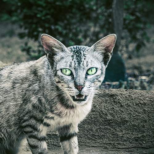Photo #12246567