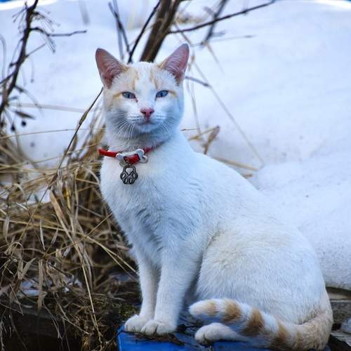Photo #12246724