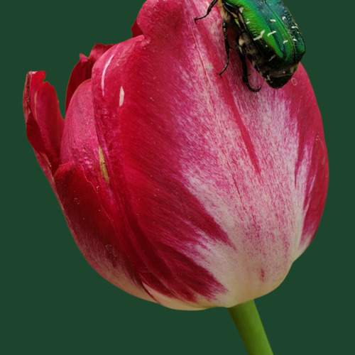 Photo #12246944