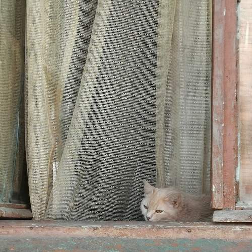Photo #12247046