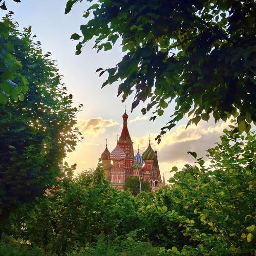 Photo #12247156