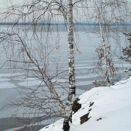 Photo #12247251