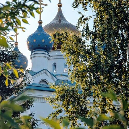 Photo #12247335