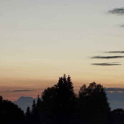 Photo #12247425