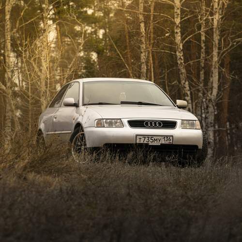 Photo #12247625