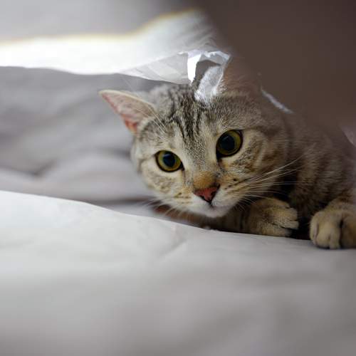 Photo #12247653