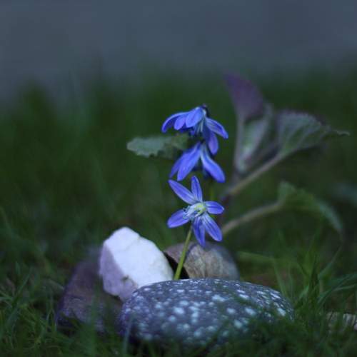 Photo #12247689