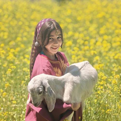 Village Whispers and Lamb Hugs