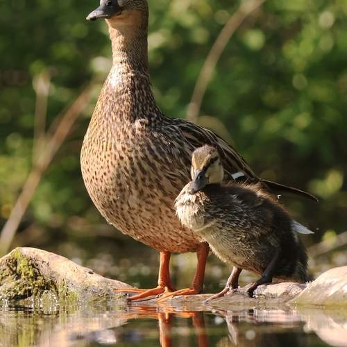 Photo #12247736