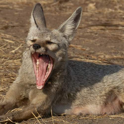 Photo #12247744