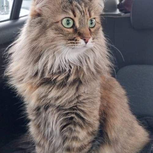 Photo #12247750