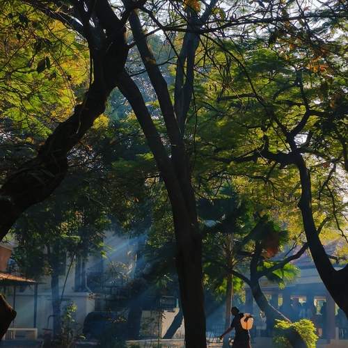 Photo #12247778