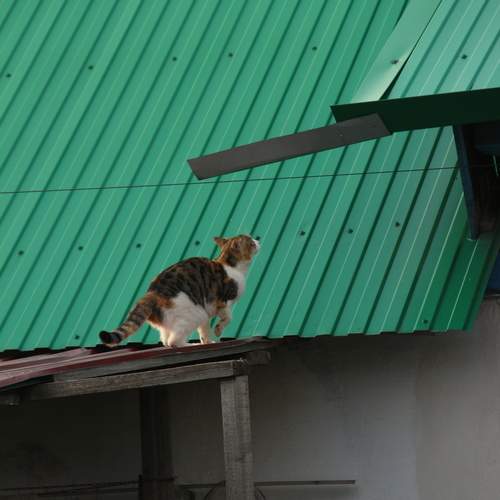 Photo #12247813