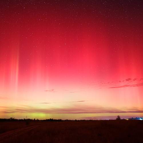 Photo #12247831