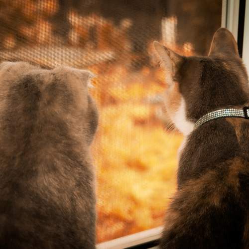 Photo #12247936