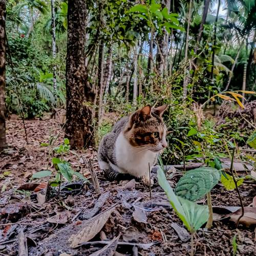 Photo #12247945